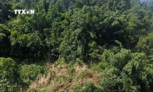 Tìm thấy thi thể hai phụ nữ bị lũ cuốn trôi ở huyện Bắc Quang