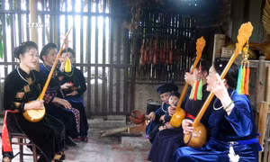 Liên hoan nghệ thuật hát Then, đàn Tính các dân tộc Tày, Nùng, Thái diễn ra vào tháng 11/2024