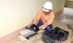 Sản phẩm than nướng sạch khi hoàn thiện được đóng hộp để cung cấp ra thị trường. Ảnh: baosonla.org.vn