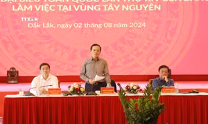 Phó Thủ tướng Trần Lưu Quang: Cần có cơ chế đặc biệt để vùng Tây Nguyên ổn định và phát triển