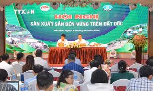 Xây dựng quy trình sản xuất sắn trên đất dốc phù hợp với điều kiện các tỉnh phía Bắc