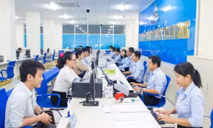 Kết luận của Bộ Chính trị về tiếp tục đổi mới hệ thống tổ chức và quản lý các đơn vị sự nghiệp công lập