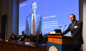 Chân dung nhà khoa học Thụy Điển đoạt giải Nobel Y sinh 2022 Svante Paabo tại Viện Karolinska ở Stockholm (Thụy Điển), ngày 3/10/2022. Ảnh: AFP/TTXVN