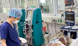Mắc liên cầu lợn, người đàn ông sốc nhiễm khuẩn, suy đa tạng