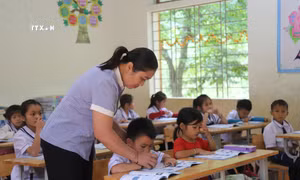 Góp ý xây dựng chế độ, chính sách cho giáo viên vùng cao
