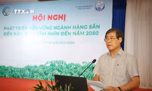 Đưa ngành sắn phát triển bền vững