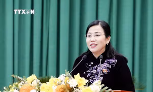 Bà Nguyễn Thanh Hải giữ chức Trưởng Ban Công tác đại biểu