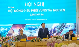 Phó Thủ tướng Trần Lưu Quang chủ trì hội nghị Hội đồng Điều phối vùng Tây Nguyên