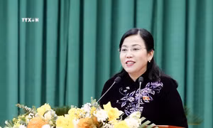 Bà Nguyễn Thanh Hải giữ chức Trưởng Ban Công tác đại biểu