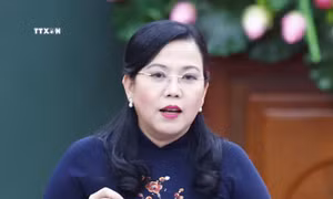 Bà Nguyễn Thanh Hải được bầu làm Ủy viên Ủy ban Thường vụ Quốc hội