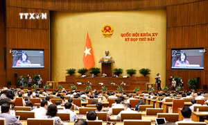 Kỳ họp thứ 7, Quốc hội khóa XV: Cách tiếp cận lấy nạn nhân làm trung tâm trong phòng, chống mua bán người