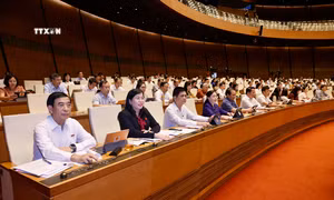 Kỳ họp thứ 7, Quốc hội khóa XV: Quốc hội thông qua Luật Công nghiệp quốc phòng, an ninh và động viên công nghiệp