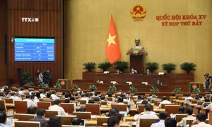 Kỳ họp thứ 7, Quốc hội khóa XV: Quốc hội thông qua Luật sửa đổi, bổ sung một số điều của Luật Đấu giá tài sản