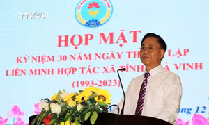 Bổ nhiệm ông Nguyễn Mạnh Cường vào Phó Chủ tịch Hội đồng tiền lương quốc gia