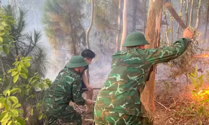 Nghệ An: Kịp thời dập tắt vụ cháy rừng trên núi Bàn Cờ