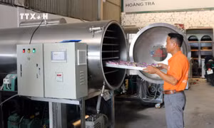 Các hợp tác xã tỉnh Hà Nam ứng dụng khoa học công nghệ, nâng cao hiệu quả kinh doanh