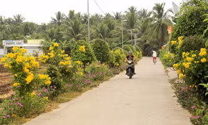 Một tuyến đường nông thôn ở huyện nông thôn mới Tiểu Cần. Ảnh: baotravinh.vn