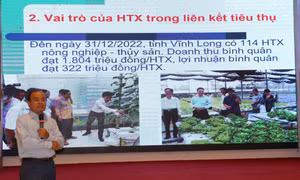 Phó Giám đốc Sở Nông nghiệp và Phát triển nông thôn tỉnh Vĩnh Long Nguyễn Văn Liêm phát biểu tại Hội thảo. Ảnh: Lê Thúy Hằng - TTXVN