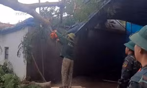 Bão số 3: Thanh Hóa huy động bộ đội, dân quân gặt lúa, khơi thông dòng chảy giúp nhân dân
