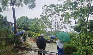 Khắc phục ảnh hưởng bão số 3: Tuyên Quang khôi phục cấp điện cho trên 11.400 hộ dân