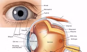 Các dấu hiệu ở mắt cho phép phát hiện các rối loạn về thần kinh