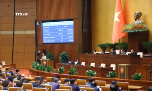 Quốc hội thông qua Luật Tư pháp người chưa thành niên