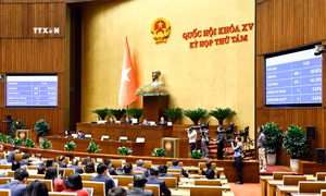 Kỳ họp thứ 8, Quốc hội khóa XV: Quốc hội thông qua Luật Dữ liệu