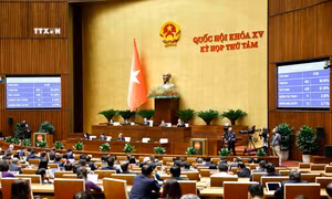Kỳ họp thứ 8, Quốc hội khóa XV: Quốc hội thông qua Luật Điện lực