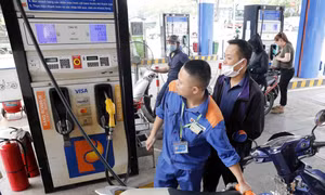 Nghị định số 80 được các chuyên gia đánh giá đã có nhiều điểm chỉnh sửa nổi bật, giúp tăng cơ chế thị trường trong lĩnh vực xăng dầu, siết chặt kỷ cương hơn trong hoạt động kinh doanh xăng dầu. 