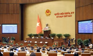 Quốc hội thông qua Luật Lực lượng tham gia bảo vệ an ninh, trật tự ở cơ sở. Ảnh: Doãn Tấn - TTXVN