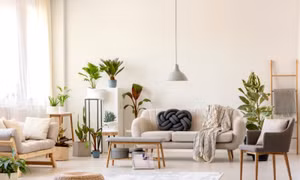 Mùi thơm nhân tạo ảnh hưởng đến chất lượng không khí trong nhà
