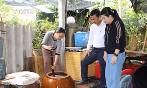 Phát triển các mô hình kinh tế tuần hoàn trong nông nghiệp ở Quảng Ngãi