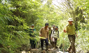 Phát huy “sức dân” trong quản lý bảo vệ rừng ở buôn Drang Phốk