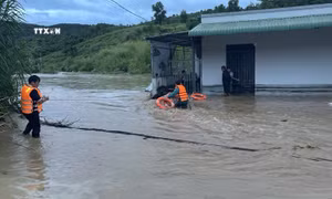 Lâm Đồng di dời nhiều người dân có nhà bị ngập sâu sau mưa lớn đến nơi an toàn