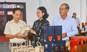 Hậu Giang xây dựng nhóm tiêu chuẩn kỹ thuật đánh giá sản phẩm OCOP
