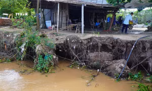 Đồng Tháp chủ động ứng phó, giảm thiểu thiệt hại do sạt lở bờ sông