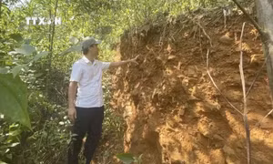 Quảng Ngãi chủ động ứng phó với nguy cơ sạt lở núi