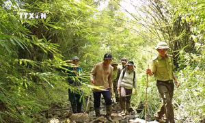 Phát huy “sức dân” trong quản lý bảo vệ rừng ở buôn Drang Phốk