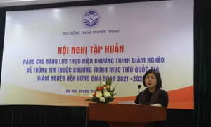Bà Nguyễn Minh Hằng, Phó Vụ trưởng Vụ Pháp chế, Bộ Thông tin và Truyền thông. Ảnh: thanhtra.com.vn
