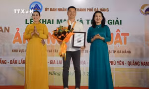 Hơn 2.000 tác phẩm dự thi Liên hoan Ảnh nghệ thuật khu vực Nam Trung Bộ và Tây Nguyên lần thứ 29