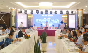 Phát huy lợi thế, tiềm năng của du lịch vùng Đồng bằng sông Cửu Long