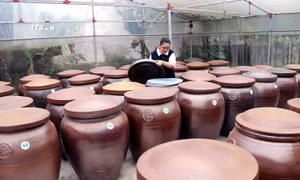 Hà Tĩnh có nhiều sản phẩm OCOP mang thương hiệu thanh niên