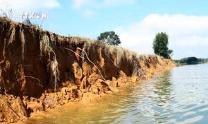 Người dân lo lắng vì sạt lở ở bờ sông Kiến Giang (Quảng Bình) ngày càng nghiêm trọng
