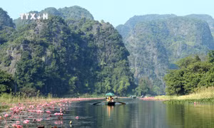Nao lòng vẻ đẹp mùa hoa súng ở Ninh Bình