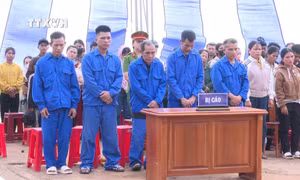 Xét xử công khai 5 đối tượng hủy hoại rừng để làm nương rẫy ở Kon Tum