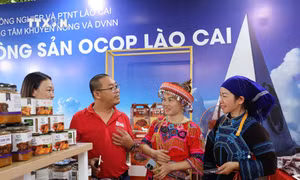 Sản phẩm OCOP hướng tới "xuất ngoại"