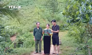 Hà Thị Tự - Người bí thư chi bộ “ba sáng” ở bản vùng cao
