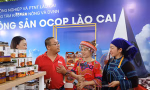 Sản phẩm OCOP hướng tới "xuất ngoại"