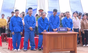 Xét xử công khai 5 đối tượng hủy hoại rừng để làm nương rẫy ở Kon Tum