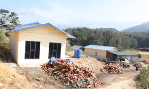Giúp người dân vùng lũ Mường Pồn sớm an cư để lạc nghiệp